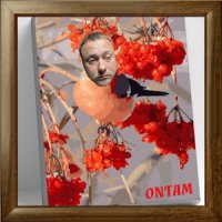 ONTAM - Рябина в саду