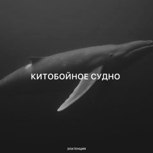 Златенция - Китобойное судно