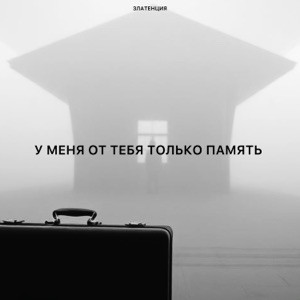 Златенция - У меня от тебя только память
