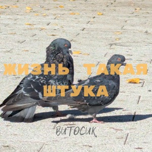 Витосик - Жизнь такая штука