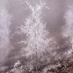 PROOVY - вечная петля