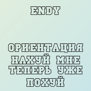 ENDY - Ориентация нахуй мне теперь уже похуй