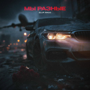 2lup, БАСО - Мы разные