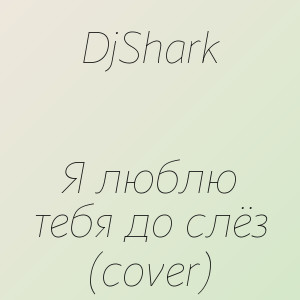 DjShark - Я люблю тебя до слёз (cover)