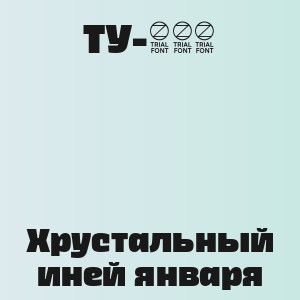 ТУ-134 - Хрустальный иней января