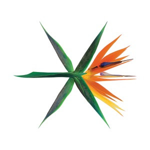 EXO - Crazy