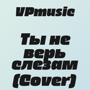 VPmusic - Ты не верь слезам (Cover)