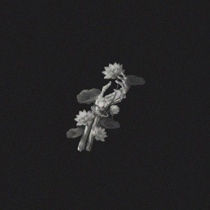 John Michael Howell, JVKE, ZVC - A Thousand Years