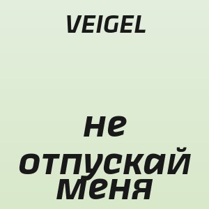 VEIGEL - не отпускай меня