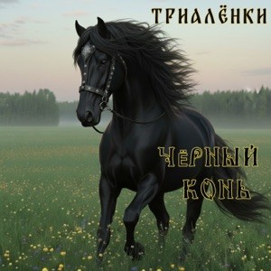 Триалёнки - Чёрный конь