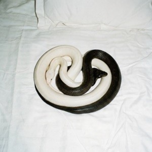 Motive - YIN YANG