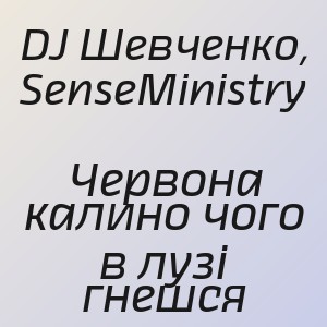 DJ Шевченко, SenseMinistry - Червона калино чого в лузi гнешся