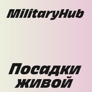 MilitaryHub - Посадки живой