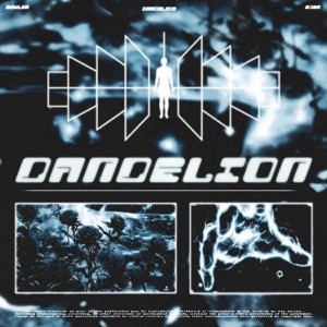 SKWLKR - DANDELION