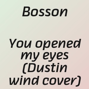 Bosson - You opened my eyes (Dustin wind cover)