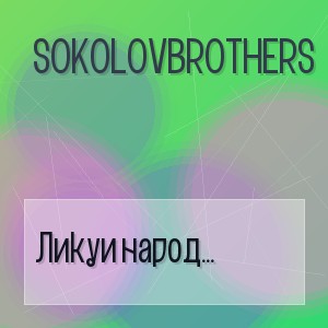 SokolovBrothers - Ликуи народ ремикс