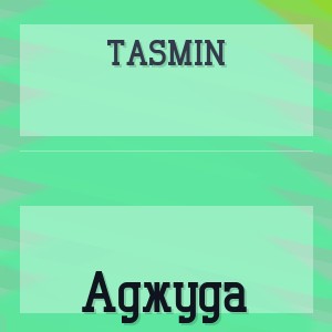 TASMIN - Aджуда
