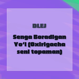 DLEJ - Senga Boradigan Yo‘l (Oxirigacha seni topaman)