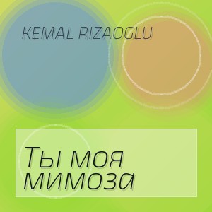 Kemal Rizaoglu - Ты моя мимоза