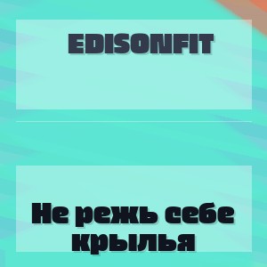 EdisonFit - Не режь себе крылья
