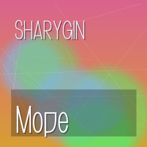 Sharygin - Море