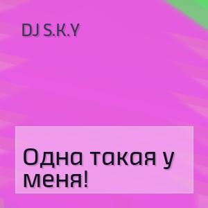 DJ S.K.Y - Одна такая у меня!