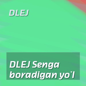 DLEJ - DLEJ Senga boradigan yo`l