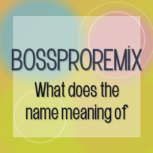 BOSSPROREMİX - What does the name meaning of
