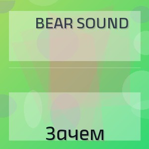 Bear Sound - Зачем