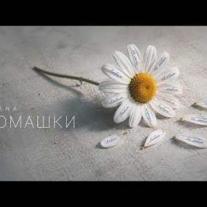 DIANA - Ромашки
