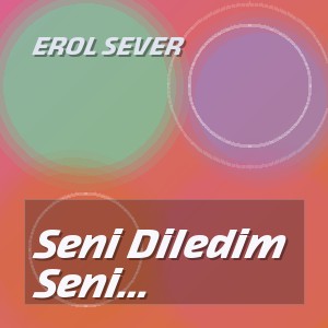 Erol Sever - Seni Diledim (Acoustic Slow Cover)