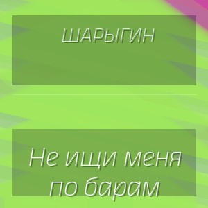 Шарыгин - Не ищи меня по барам