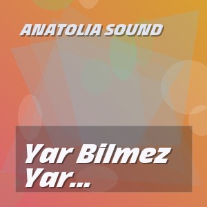 Anatolia Sound - Yar Bilmez Halimi Canlı Arabesk Türkü Performansı