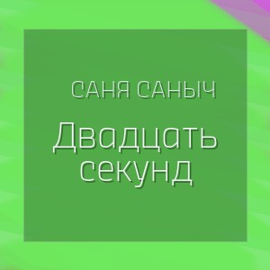 Саня Саныч - Двадцать секунд