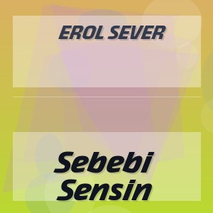 Erol Sever - Sebebi Sensin
