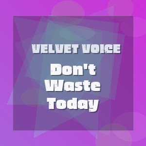 Velvet Voice - Don't Waste Today