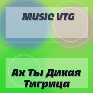 Music Vtg - Ах Ты Дикая Тигрица