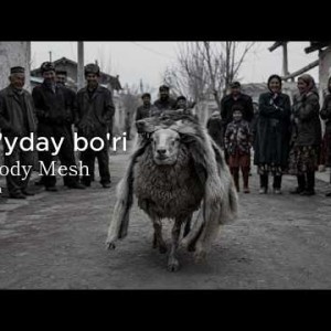 Melody Mesh - Qo'yday bo'ri