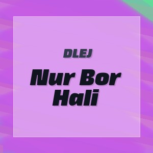 Dlej - Nur Bor Hali