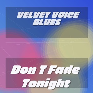 Velvet Voice Blues - Don T Fade Tonight