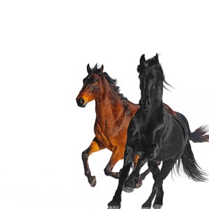 Lil Nas X, Billy Ray Cyrus - Old Town Road (Remix)