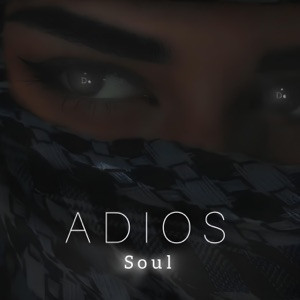 Soul - Adios (Полная Версия)