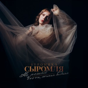Вероника Сыромля - Не мешай